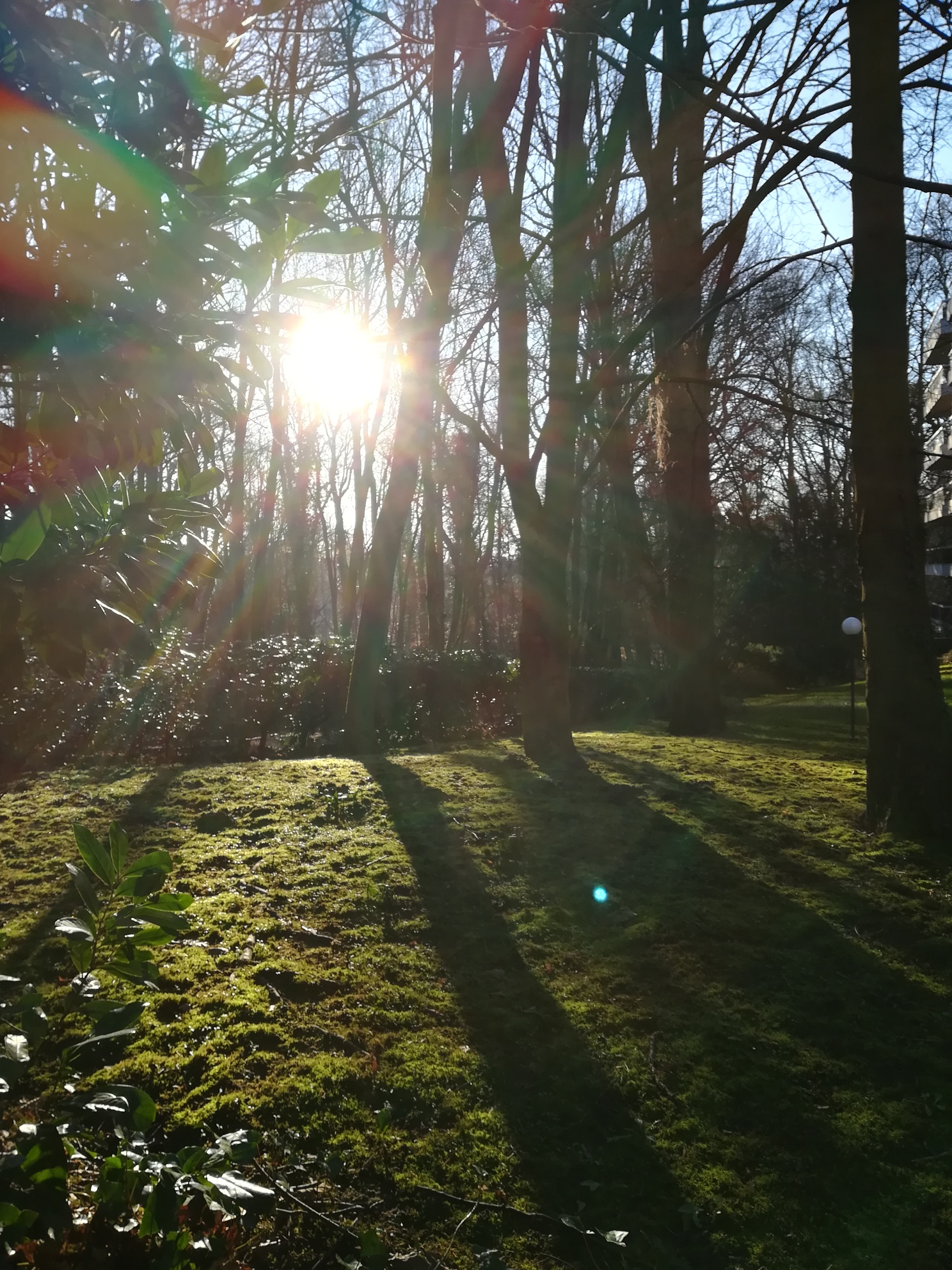 Journal De Confinement Jour 2
