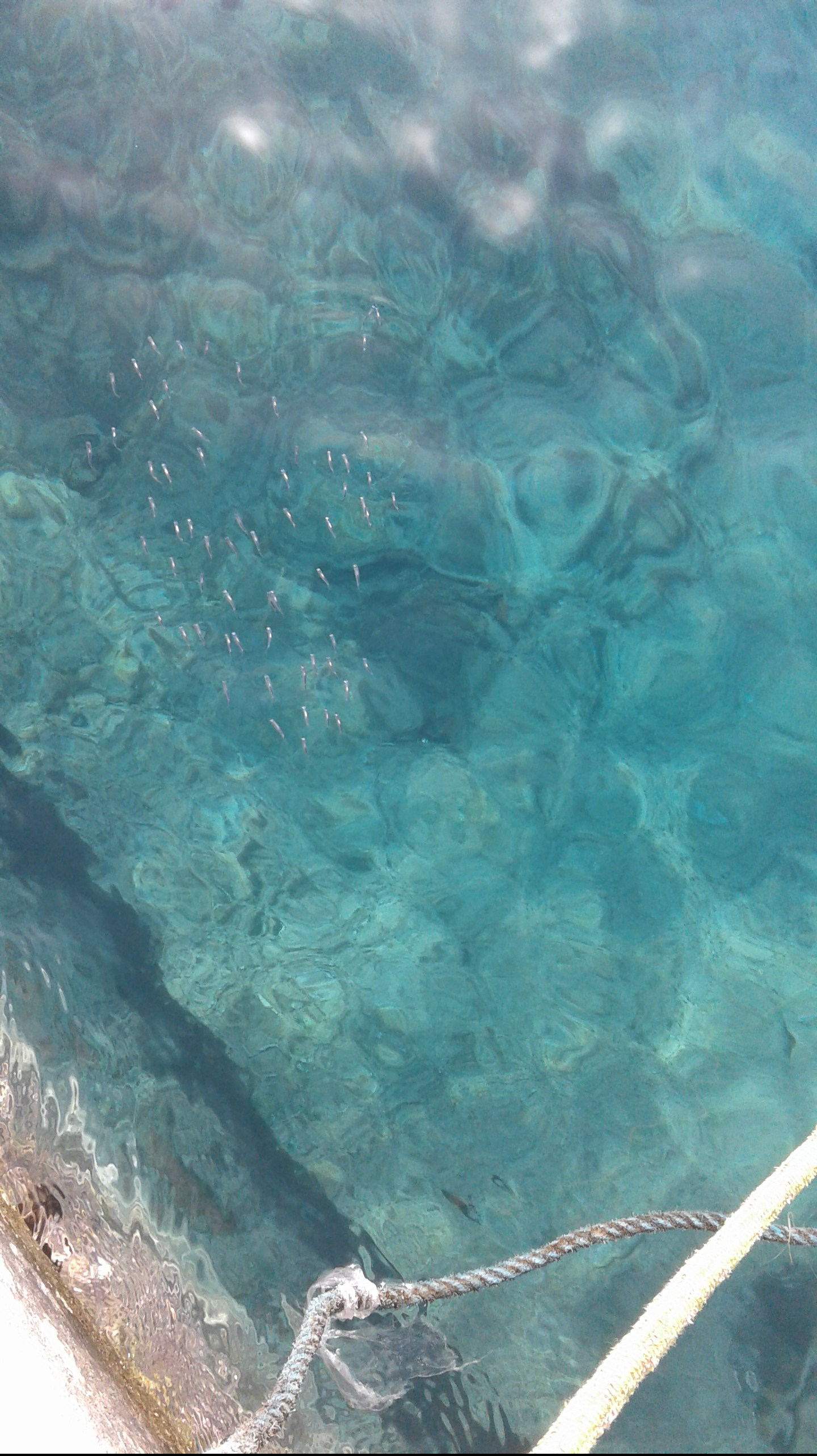 Comment Serait La Mer
