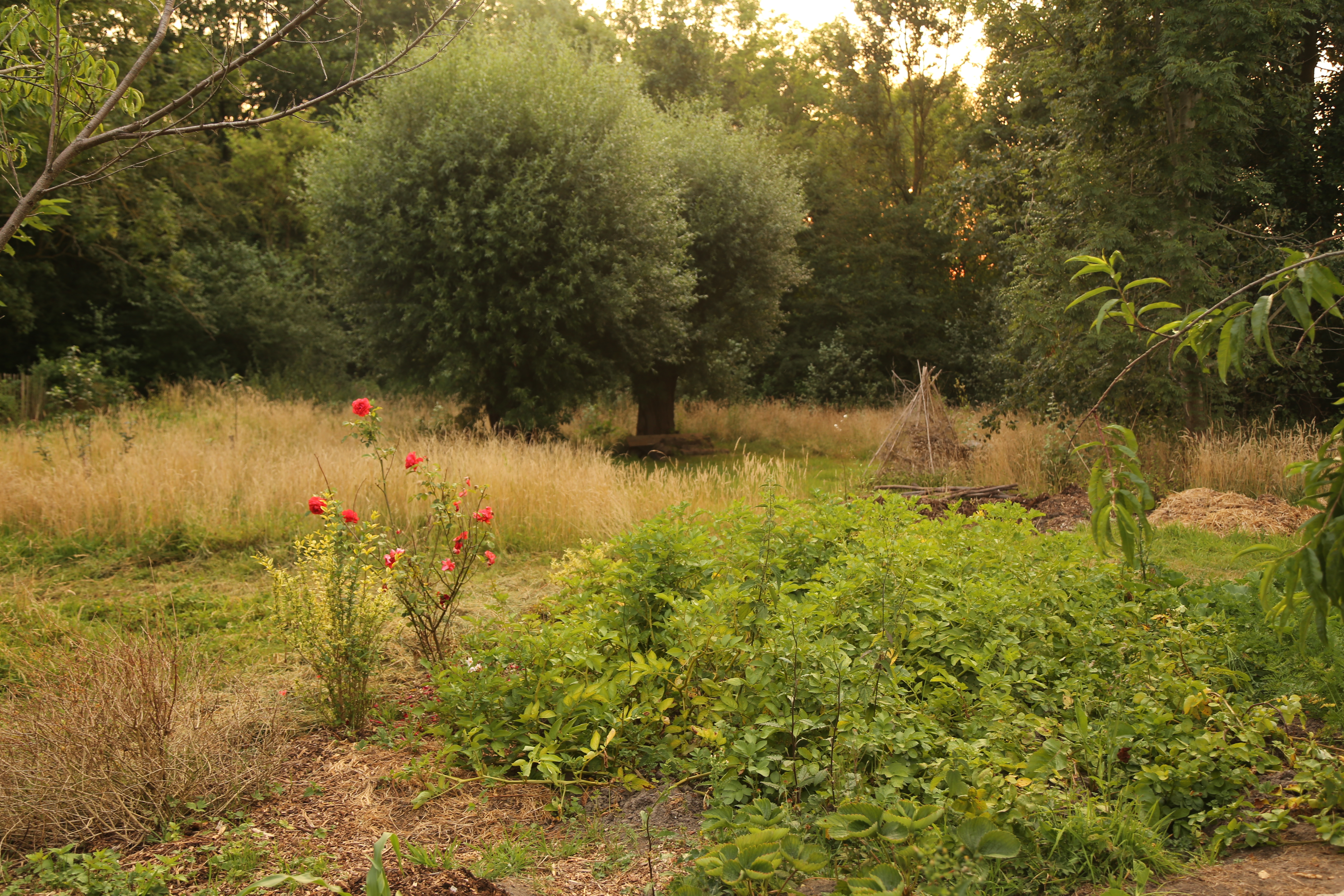 Stage Decriture Projet En Cours Belgique