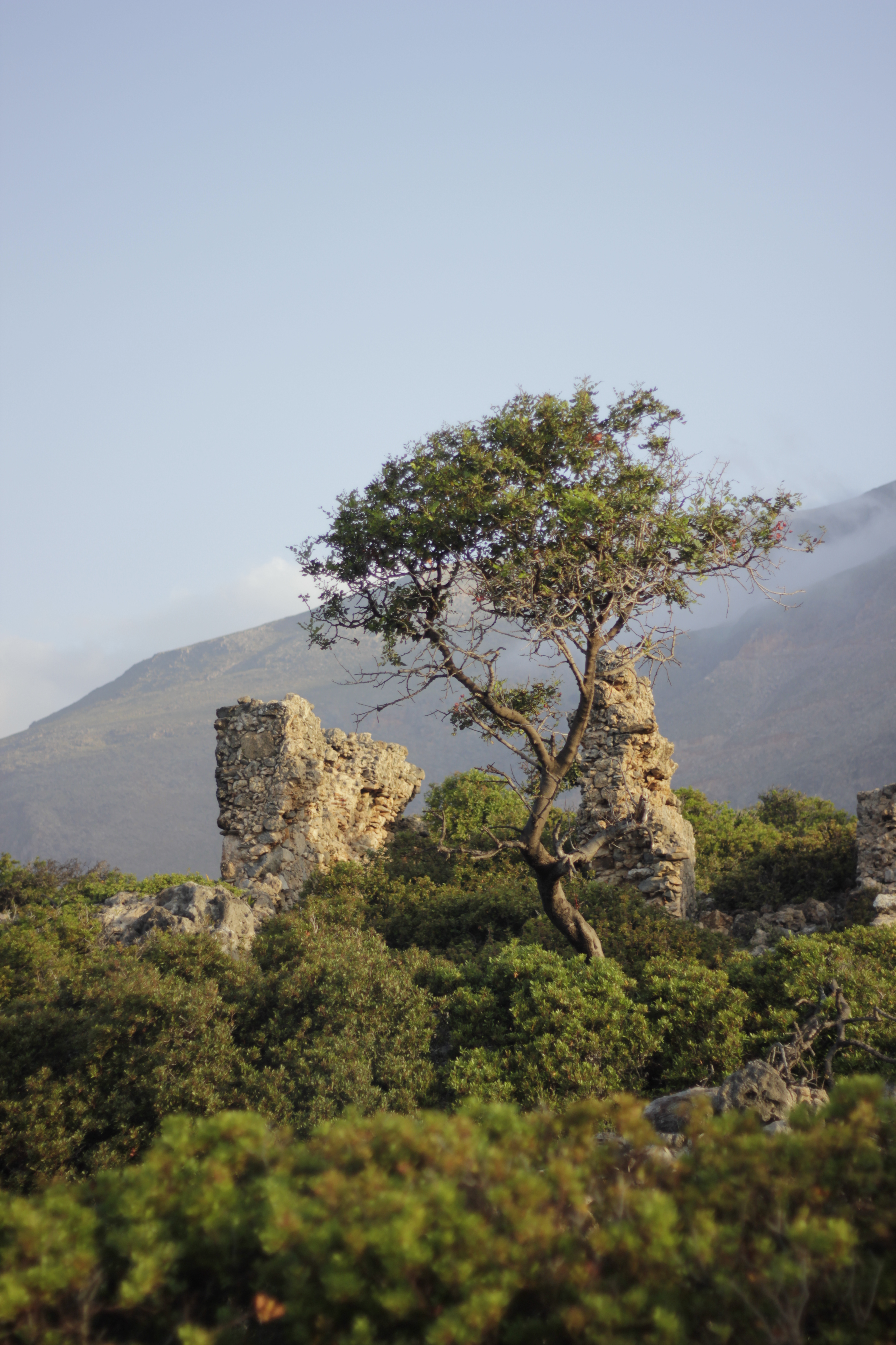 Residence Decriture Projet En Cours Grece Avril 2020